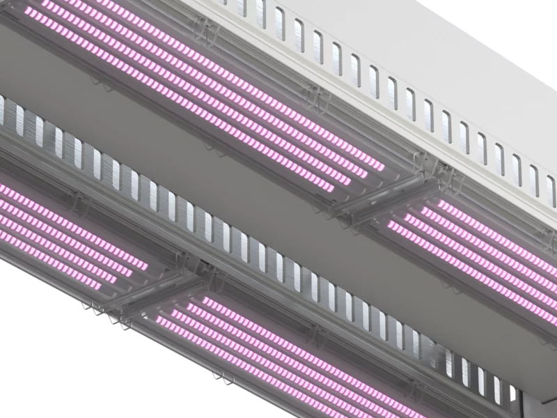 DLI_Zenith3_lens