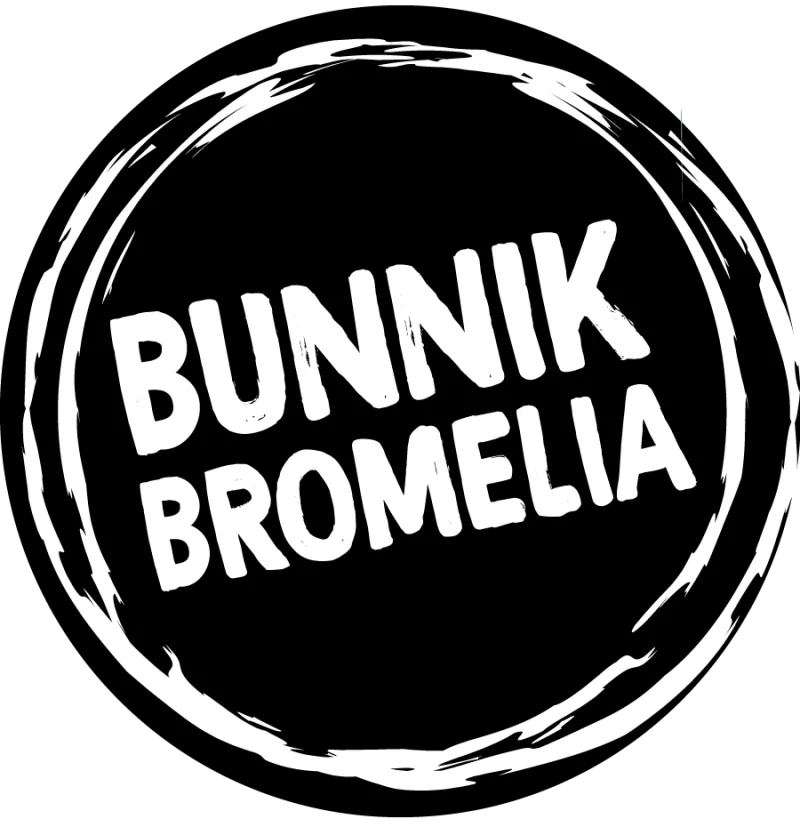 Bunnik-bromelia