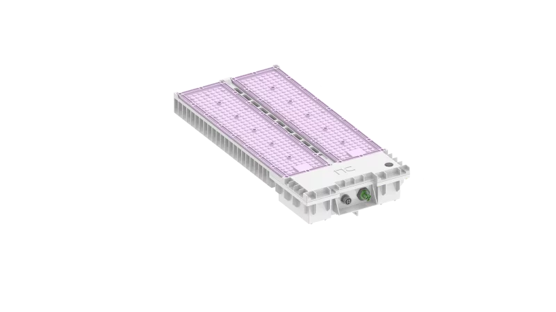 DLI-NXS-LED-02