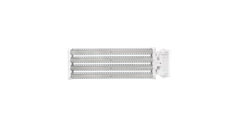 DLI_APEX-800FS_01