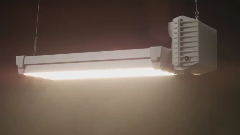 DLI_Apex_800