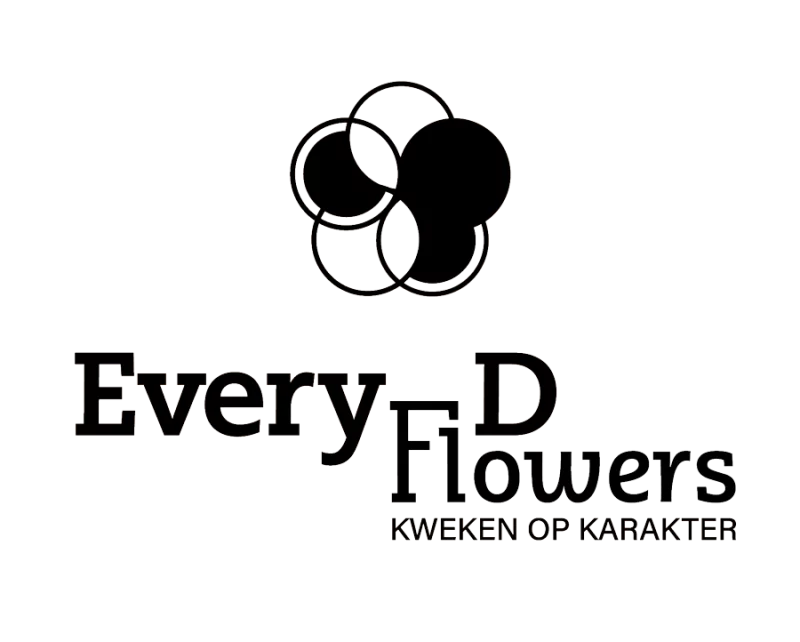 veen_Everyday-flowers